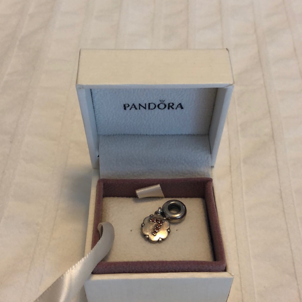 Pandora charm